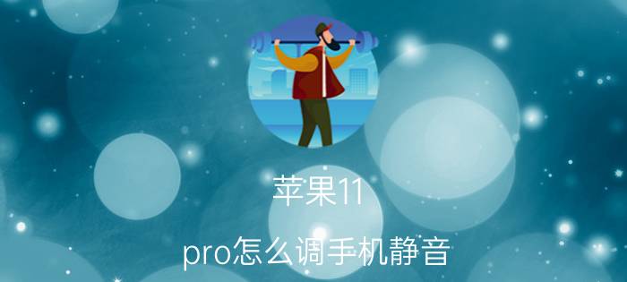 苹果11 pro怎么调手机静音 iphone11必关掉的功能？